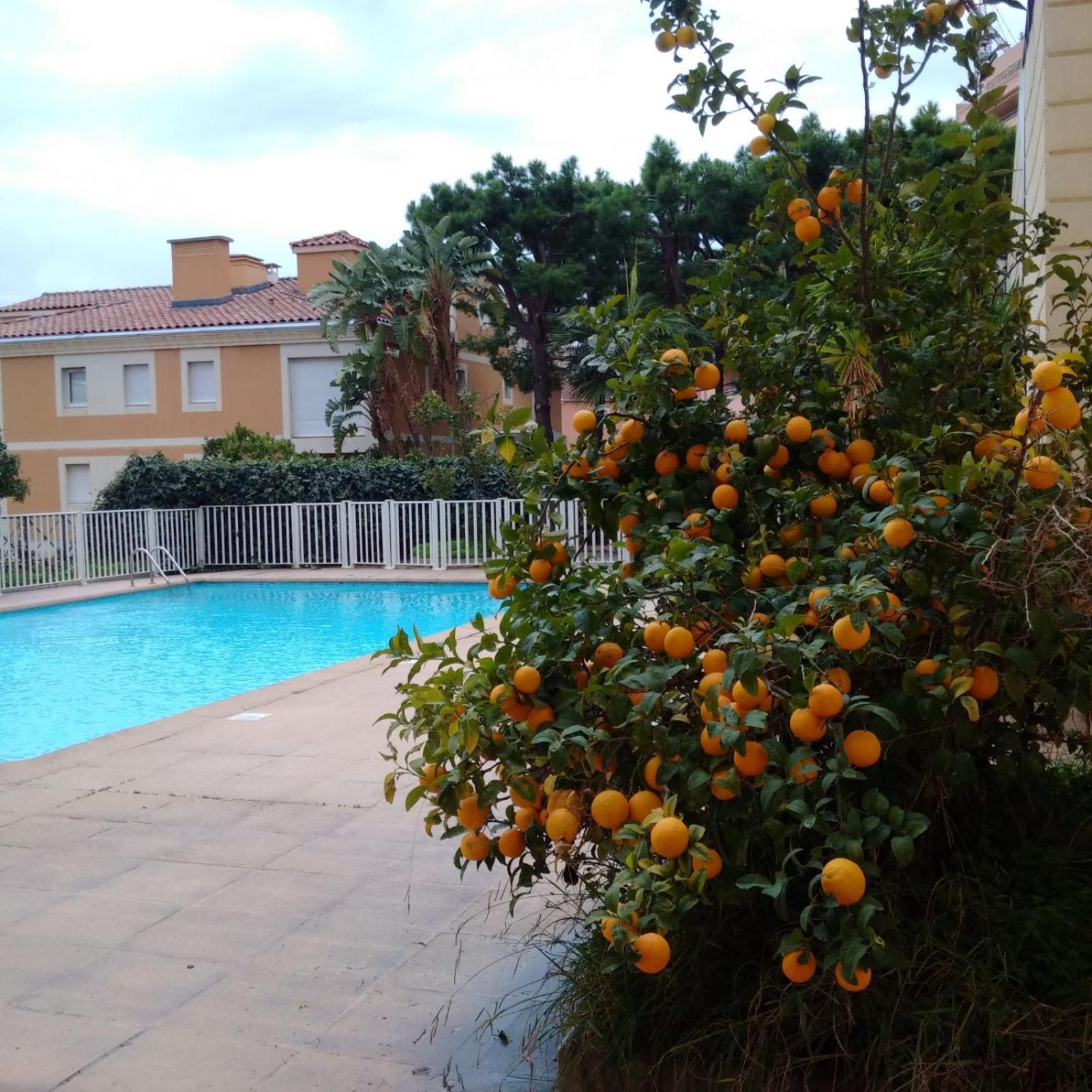 Direct Monaco Studio Devant Piscine Beausoleil Exterior photo